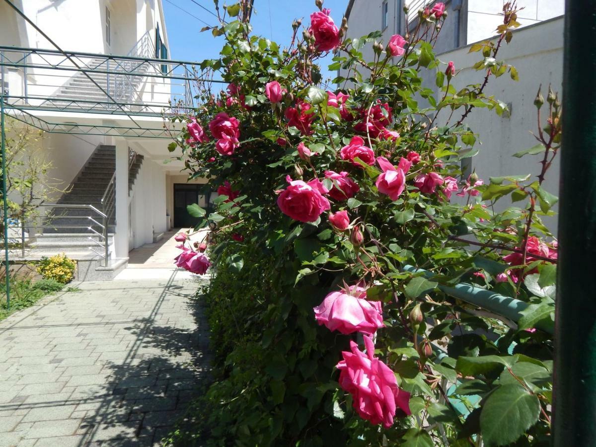 Lemon tree apartments Zadar Buitenkant foto
